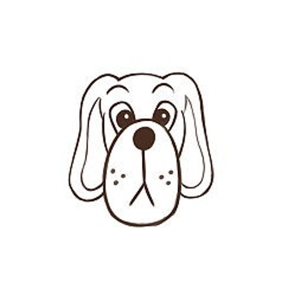 Add additional details like freckles and shading. Color to finish.