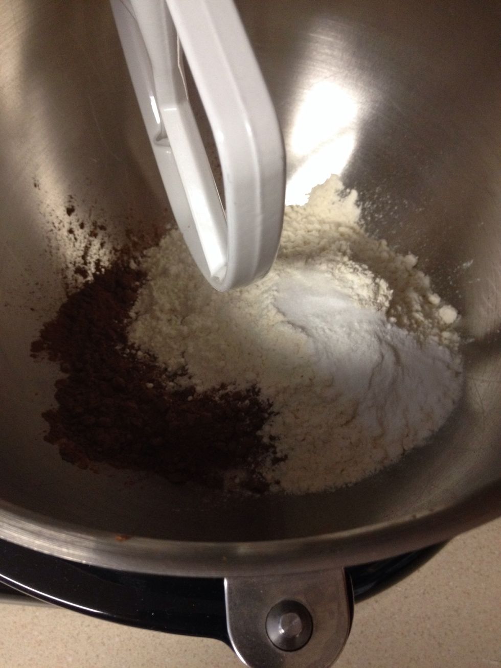 Add all dry ingredients (including sugar) to the mixer and mix to combine