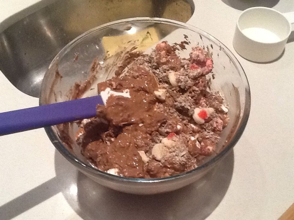 Add all ingredients (including shredded coconut and crushed peanuts) to the bowl and mix