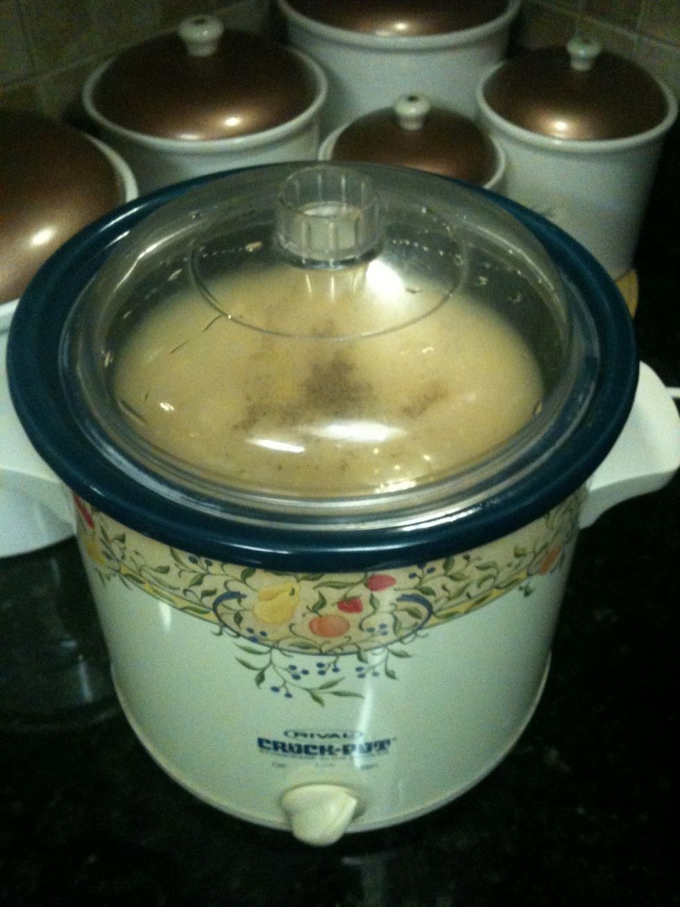 Add all ingredients into crockpot except velveeta!!