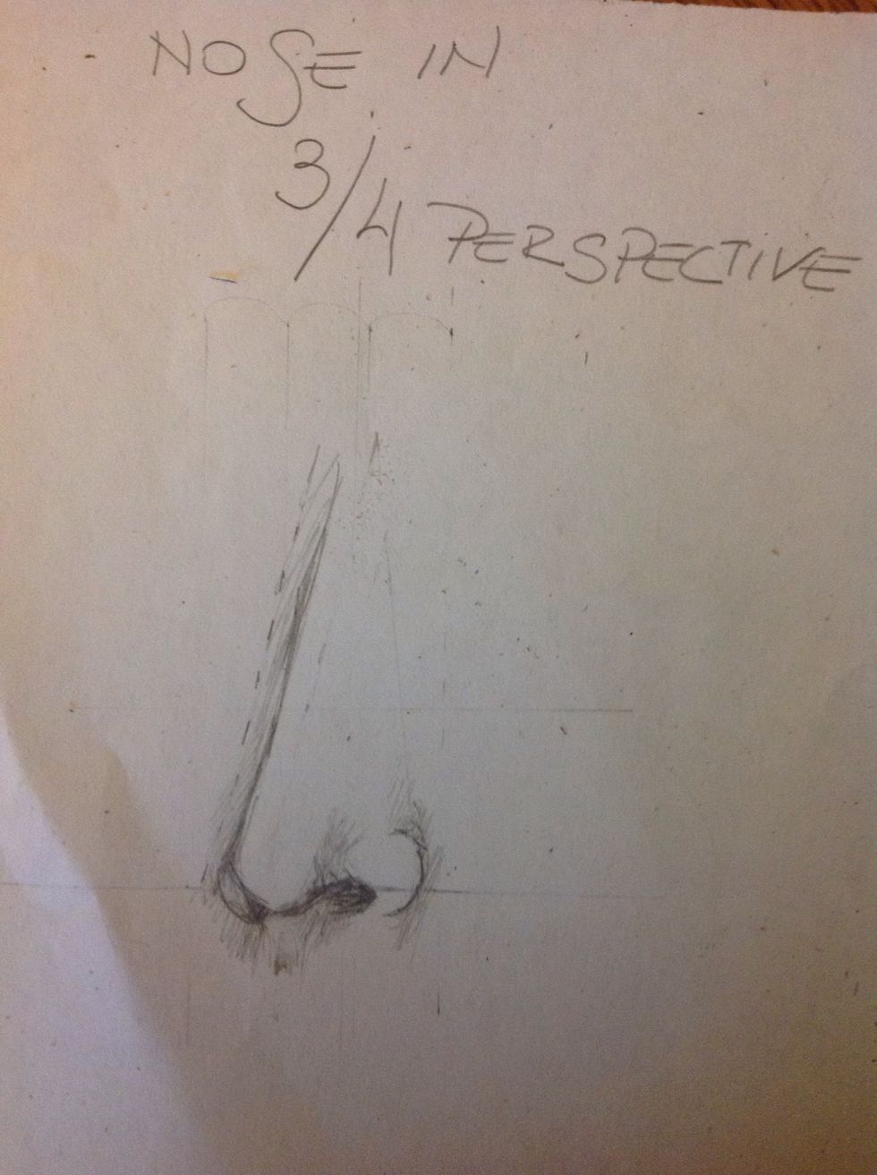 Add all the shadows, down the nostril and beyond the fin of the nose. Put some shadows behind the bridge of the nose and in the fin of the nose that we can't see. Congratulations, you finish!