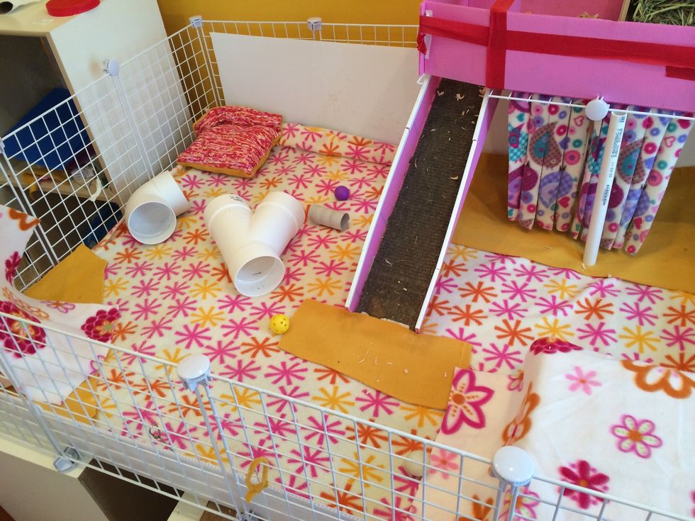 Add all your toys and shelters. 4" PVC pipe works well for toys, as do ping pong balls. Pigs love toilet paper rolls to chew! Clean toys and shelters weekly. All of mine are made of fleece.