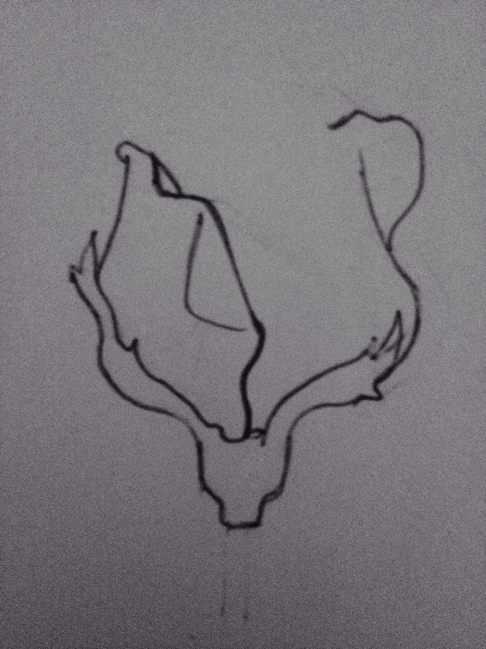 Add another lip-like bit the the inside of the left petal like this.