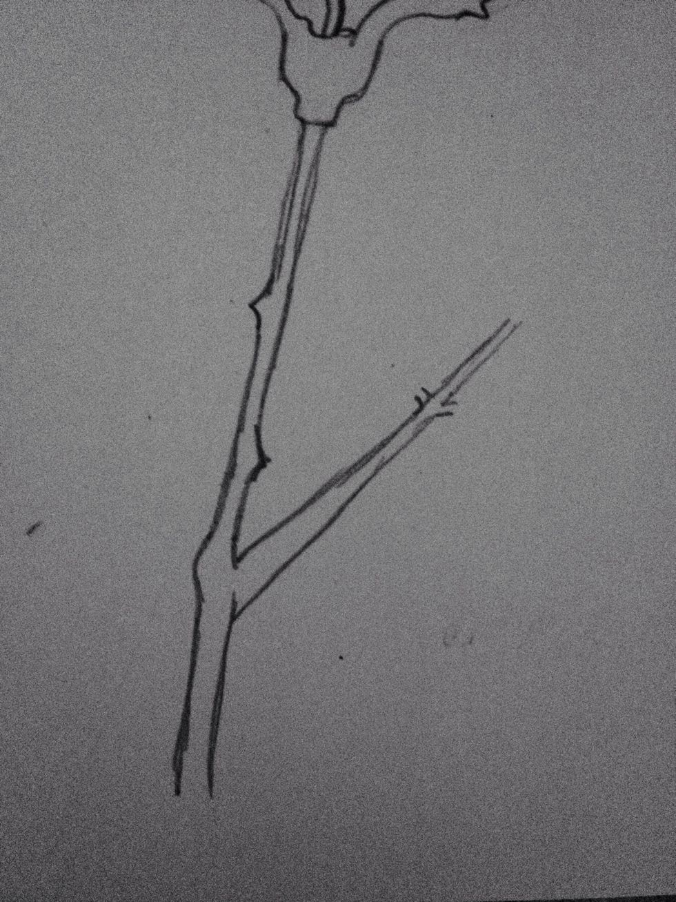 Add another little branch outwards like this.