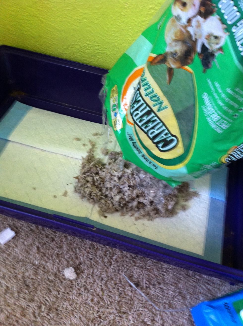 Add bedding. (Make sure you use a thick layer so they don't chew on the puppy pads/newspaper)