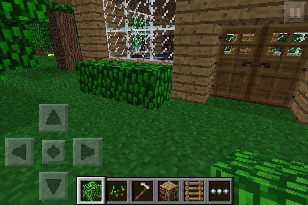 Add bushes in front of your awesome house to make it fancy