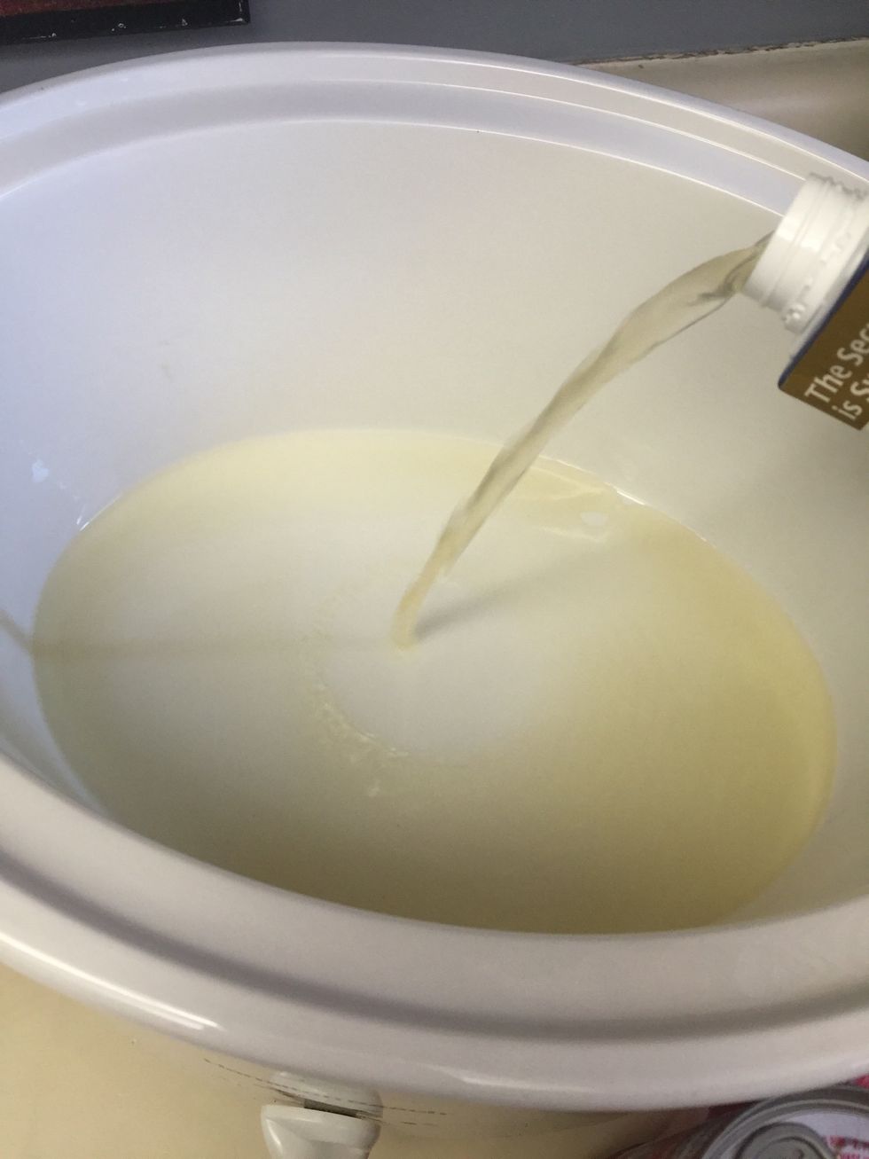 Add chicken broth to crock pot.