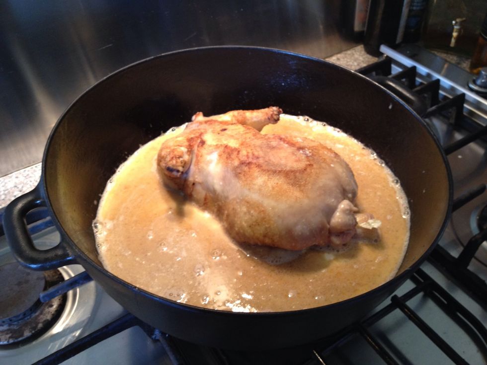 Add chicken stock or water and milk/cream. You want the chicken to be half covered Add bay leafs, pepper corns,juniper berries if you feel like it. Start cooking the chicken breast side down.