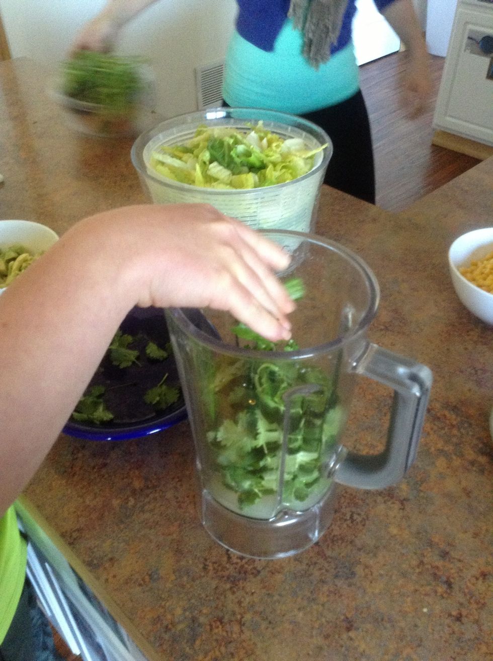 Add cilantro to blender.