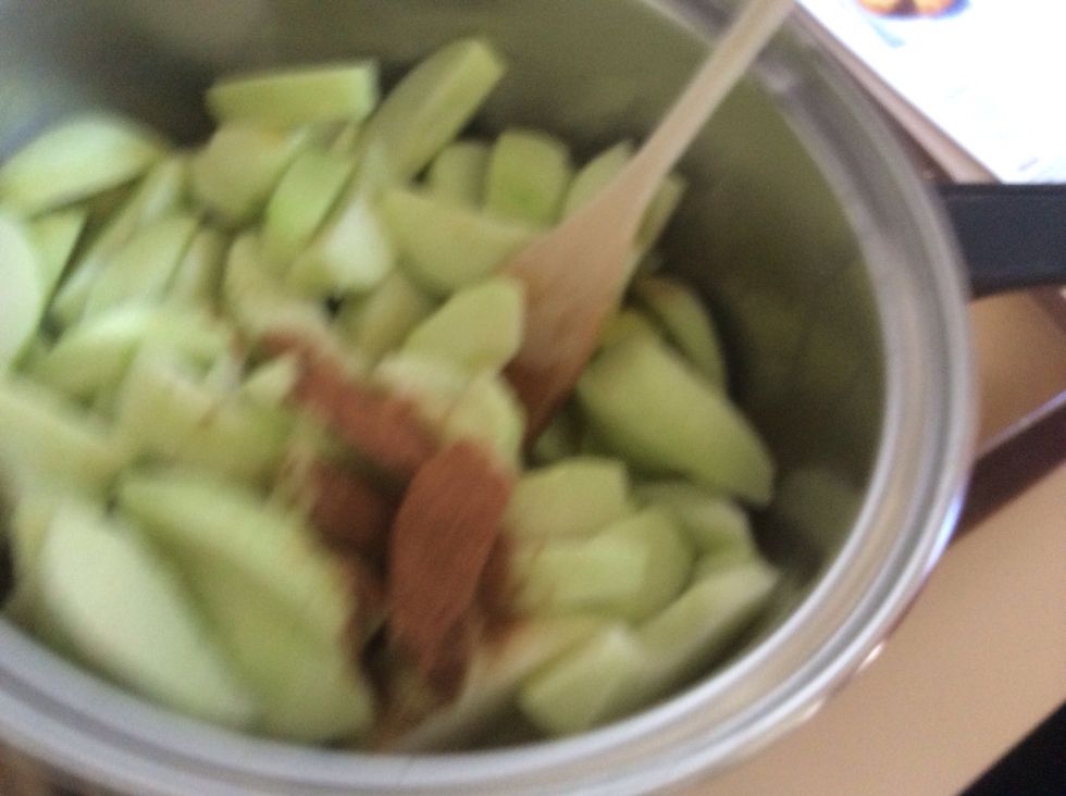 Add cinnamon to apples and the paste.