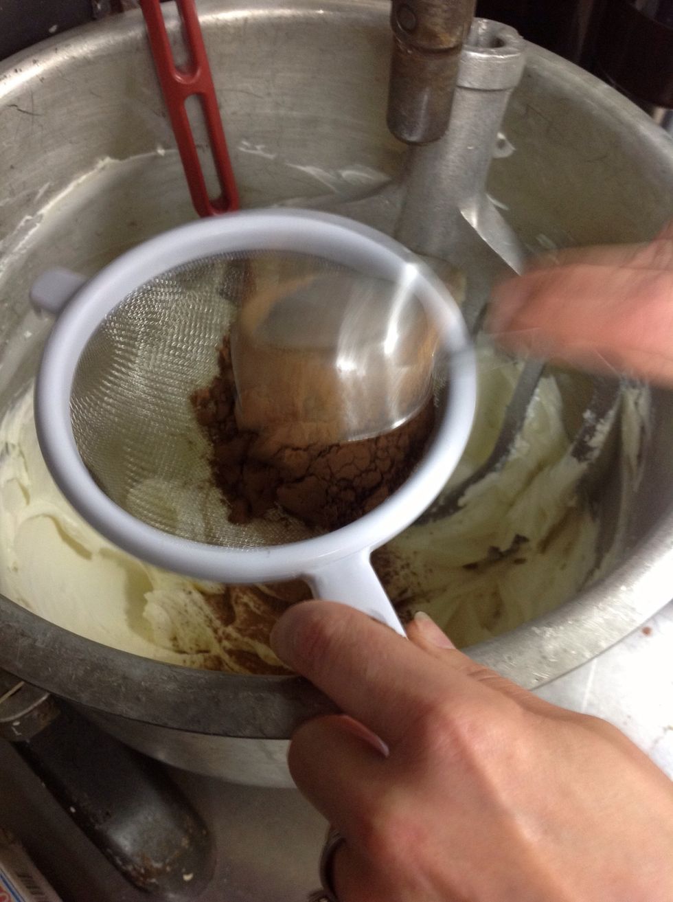 Add cocoa powder to the cream cheese mixture.