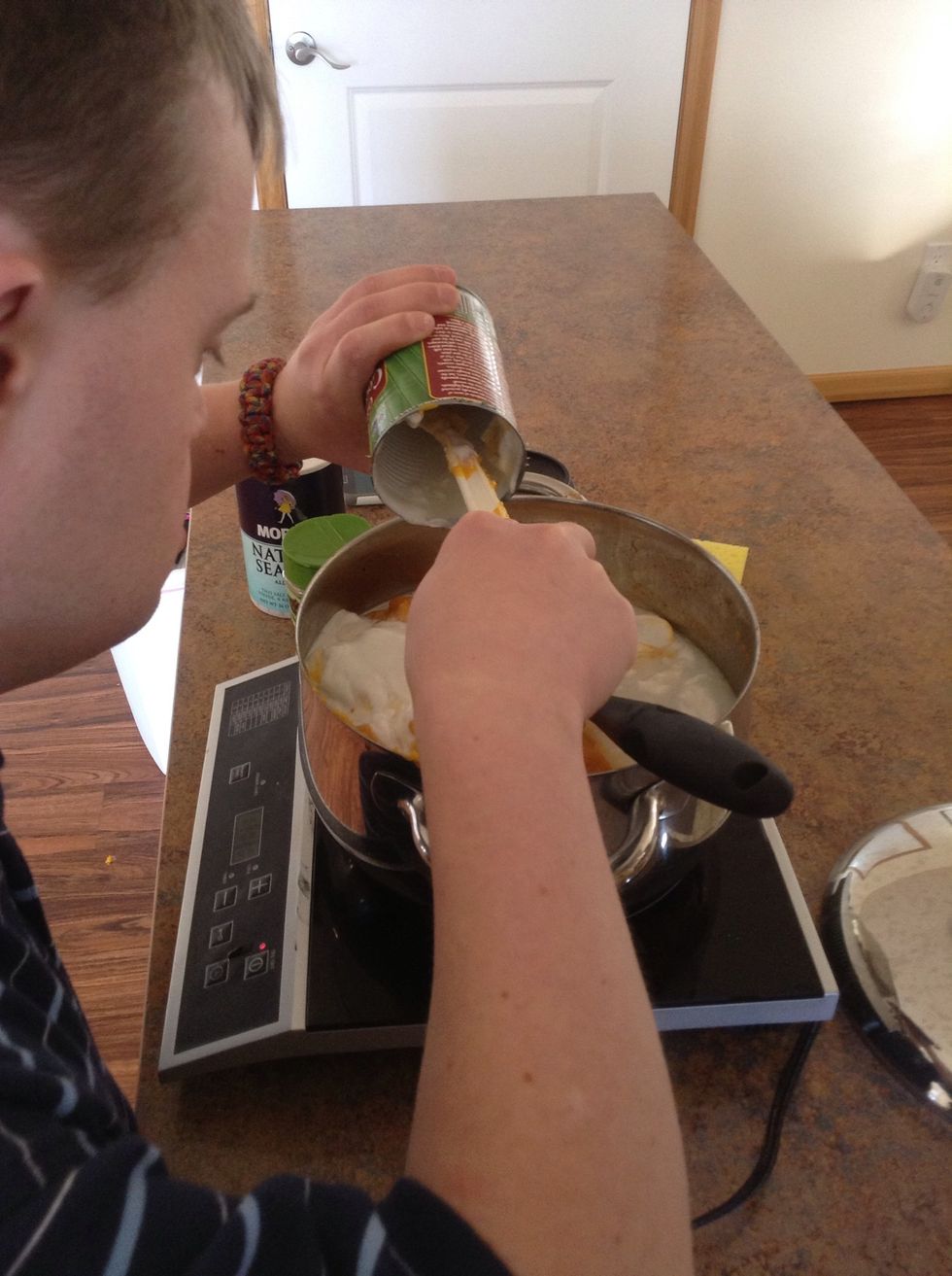 Add coconut milk to pot