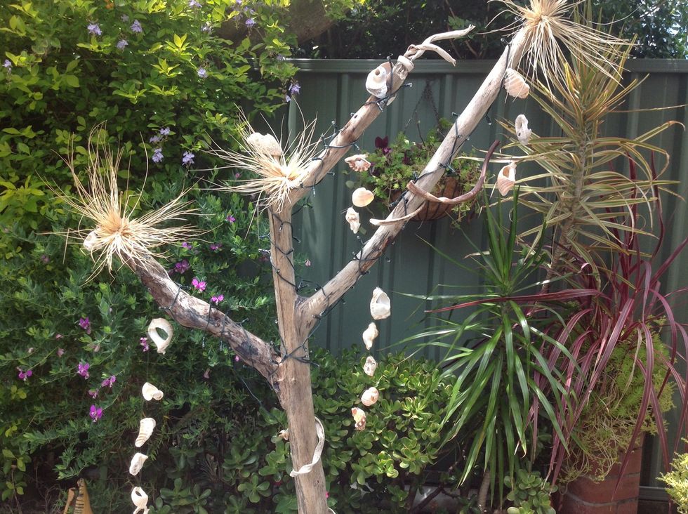 Add desired decorations- shells, wire, driftwood trim, solar lights, tumbleweeds etc