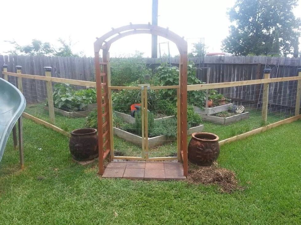 Add dirt (about 8 cubic yards is what I used here.) Construct fence as shown to preserve the view of the garden while keeping out dogs. Also add drip lines to the pots on either side of the arbor.