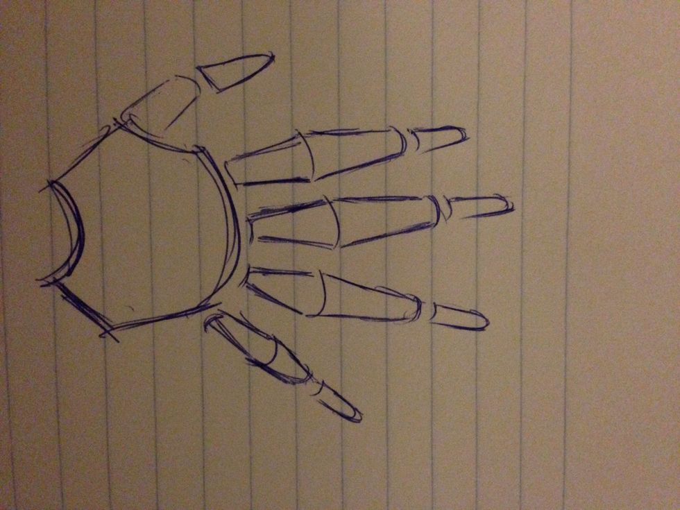 Add distal phalanges