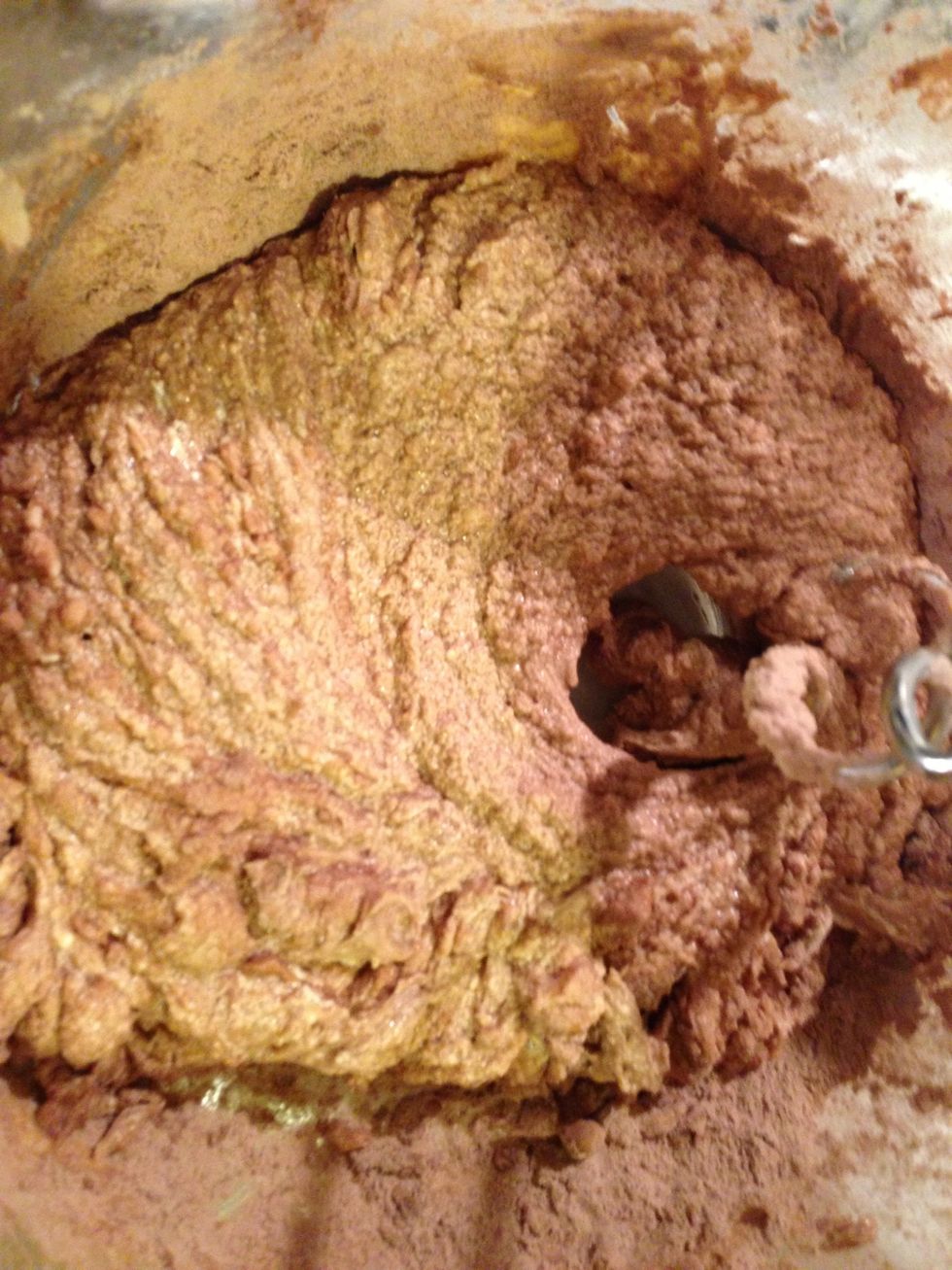Add egg and vanilla, beat in. Slowly add cocoa powder/flour mixture.