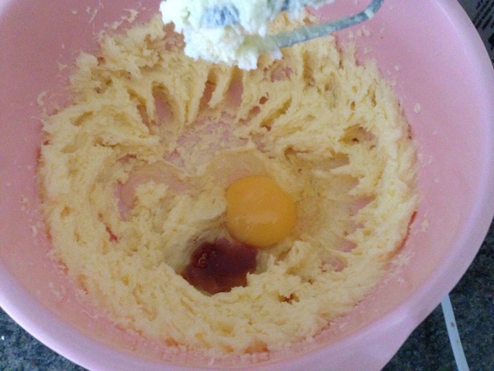 Add egg and vanilla extract and beat.