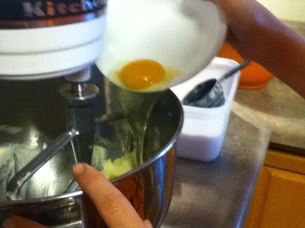Add egg. Beat at about a level 4 speed for 30 seconds.