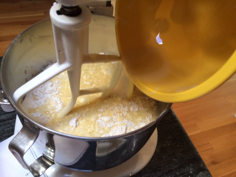 Add egg mixture, and beat on low speed until almost all the flour is incorporated, about 30 seconds.