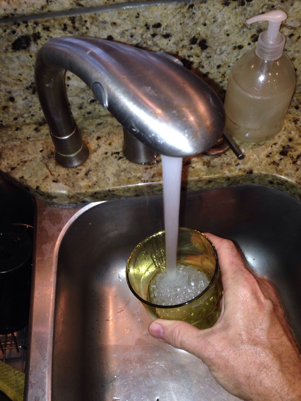 Add enough cold water to the cup to cover the stems of the cilantro