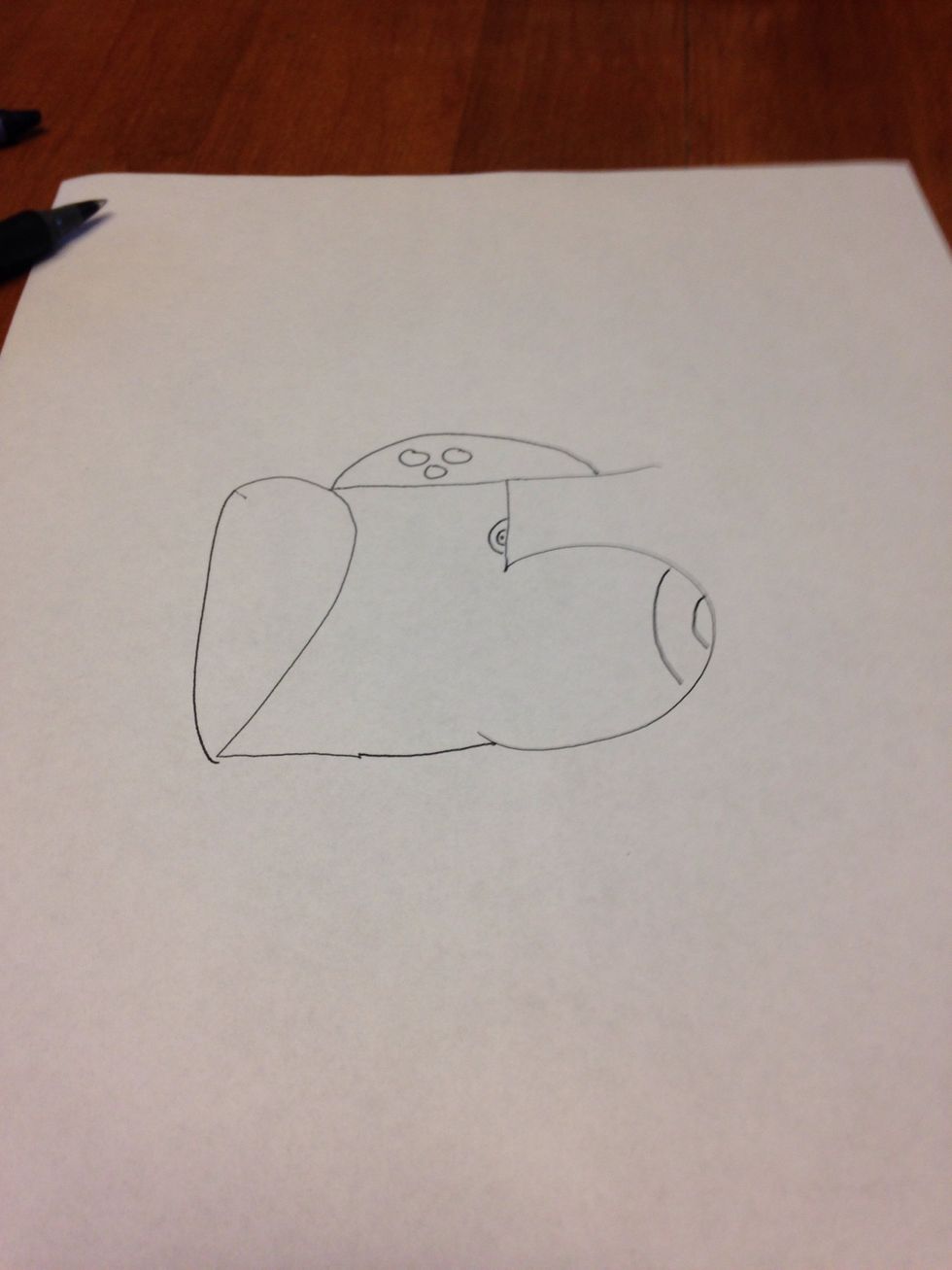 Add eyes,a nose,and a mouth