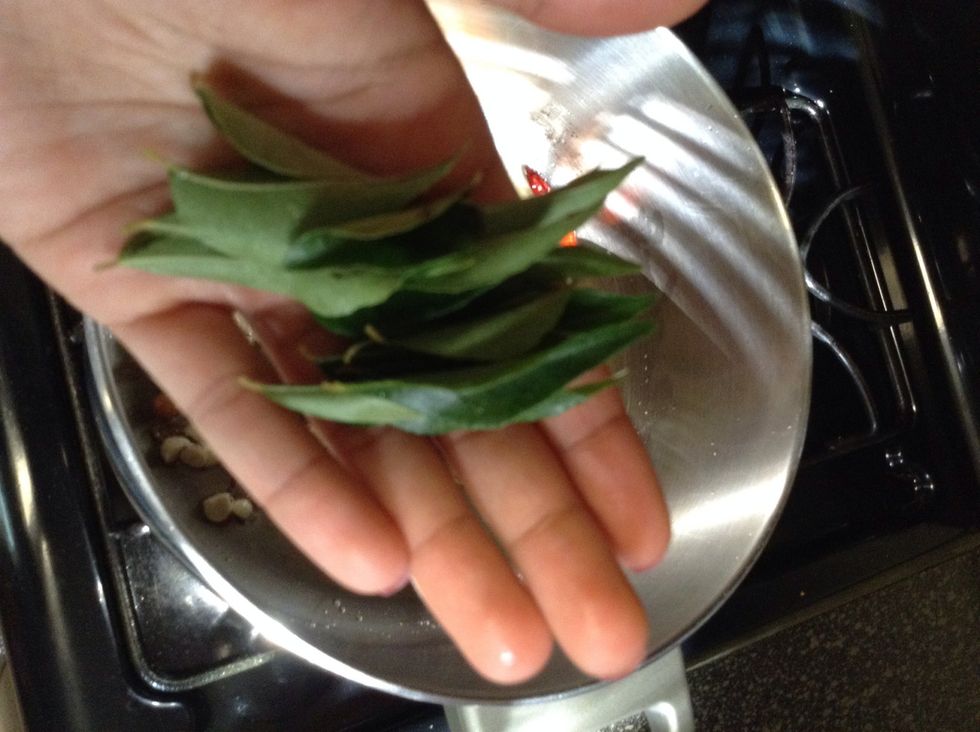 Add few curry leaves. You can skip it if you want, but it enhances the flavor so check your local indian store.