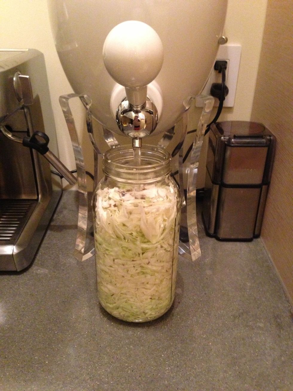 Add filtered water to cover the cabbage. I also added caraway seeds throughout and put some dill and black peppercorns on top for added flavours.