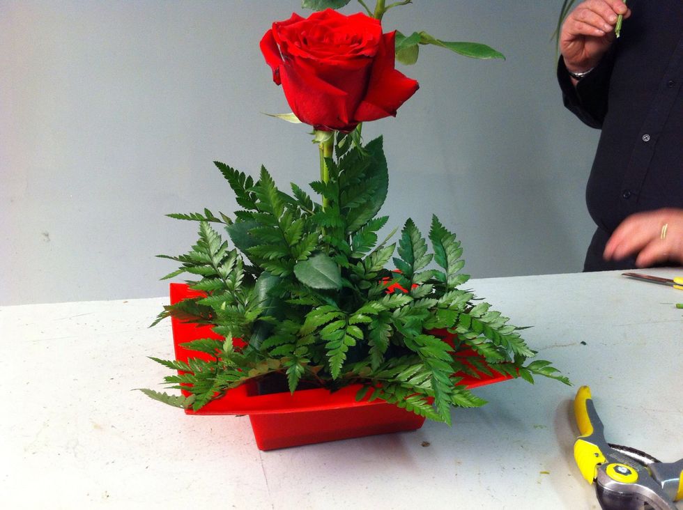 Add foliage to cover foam.