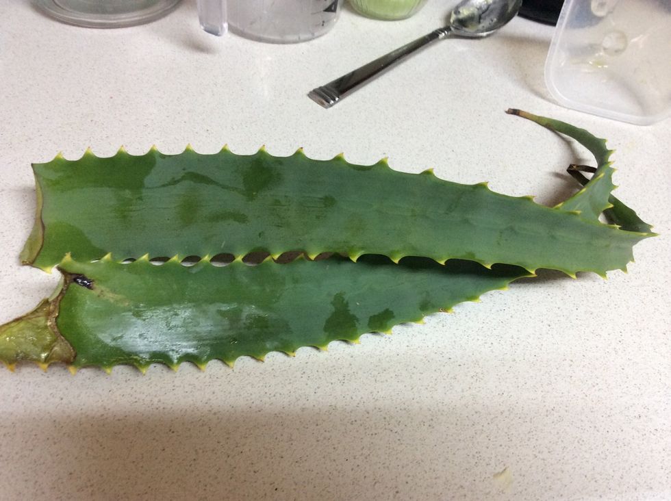 add fresh aloe vera: Slice off the spikes that run length wise and cut the base. Then use a vegetable peeler to peel skin off one side. Then use a spoon to scrape clear aloe flesh and juice into cup.