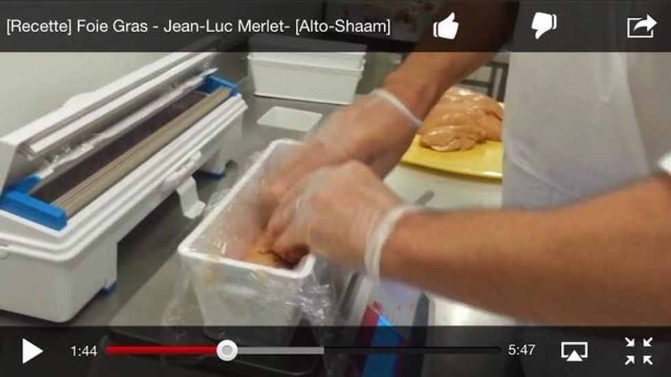 Add goose liver to terrine.