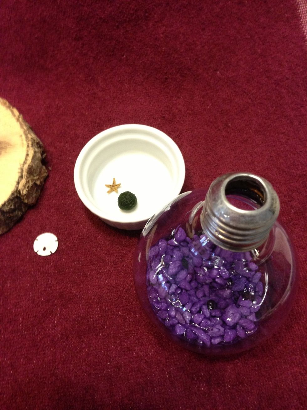 Add gravel and decorations. If using a Marimo, replace water every 1-2 weeks.