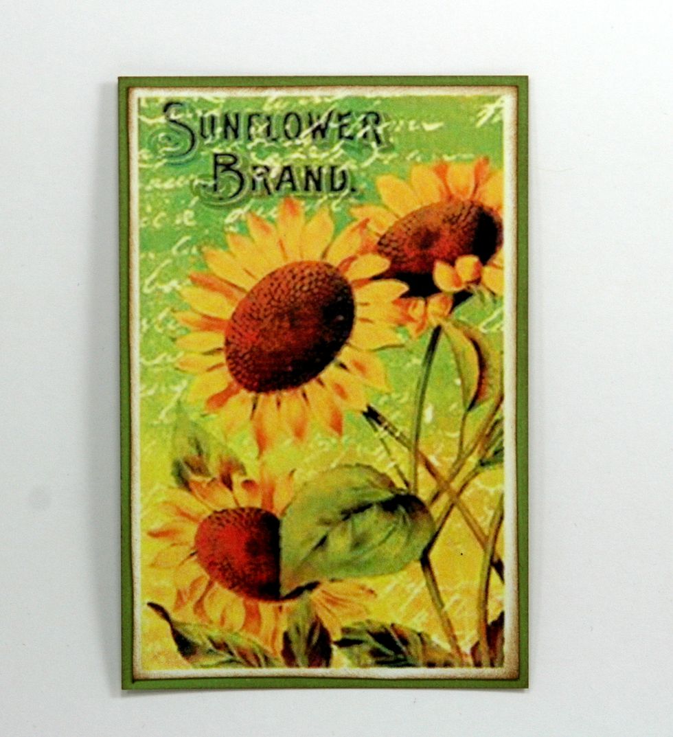 Add green border to well inked Crafty Secrets Digital Scraps Garden Scraps Sunflower Brand Image .