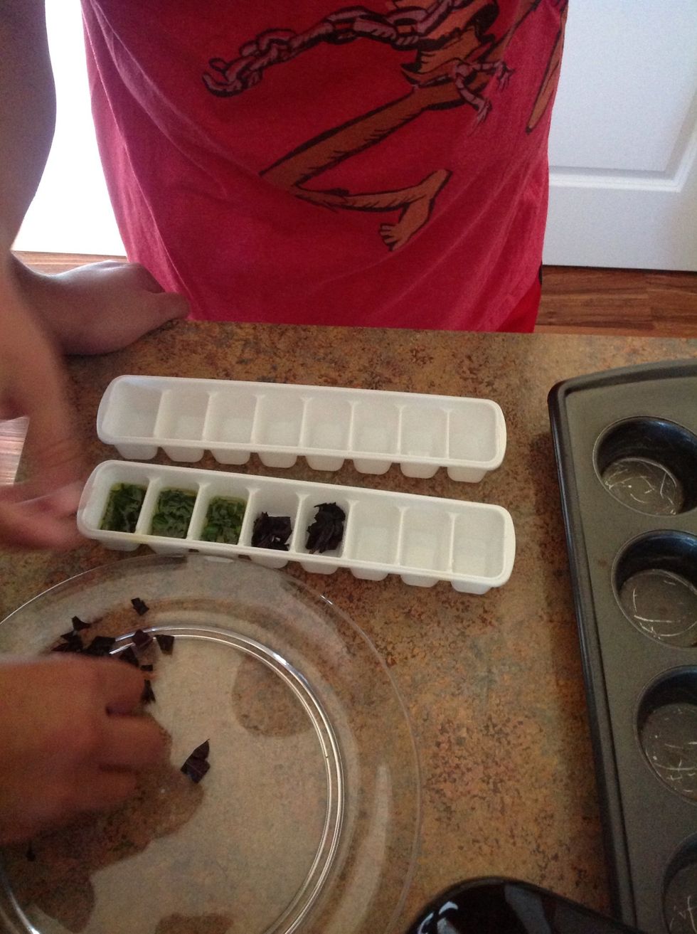 Add herbs to ice tray. Fill each cube 3/4 way full. Make sure to track of what herbs are in the tray.