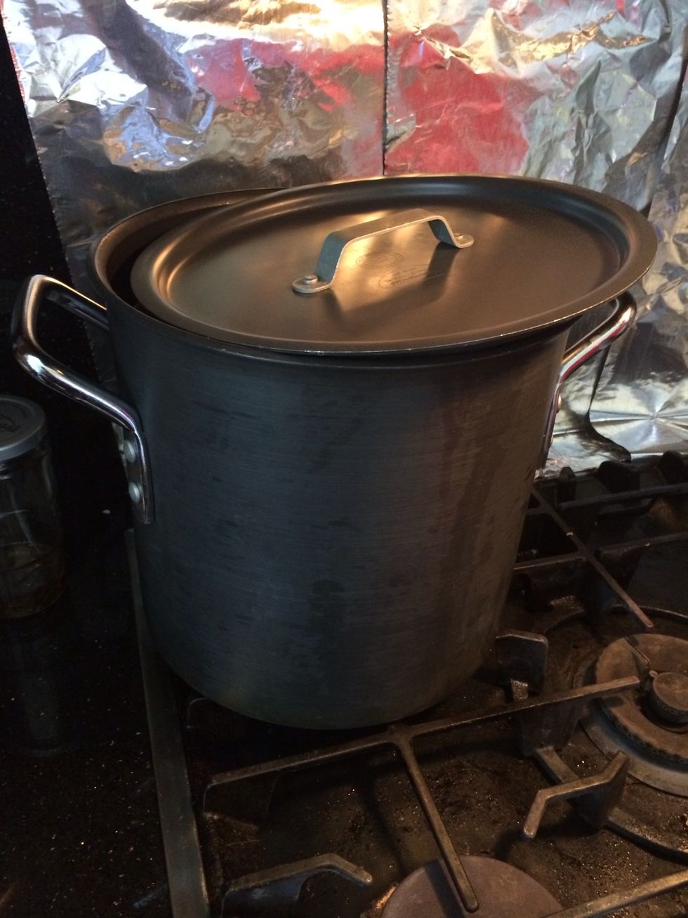 Add in onion, ginger, star anise, coriander Simmer x 8 hours 1/2 covered on low heat. Skim fat every hour to ensure clear pho broth