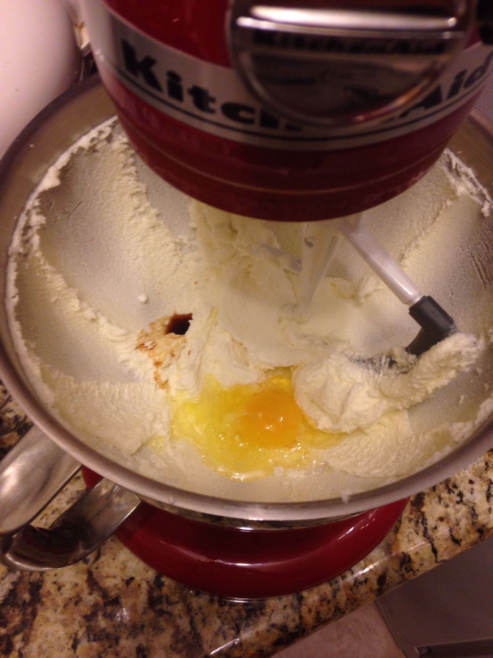 Add in the egg, milk (not pictured), and vanilla.
