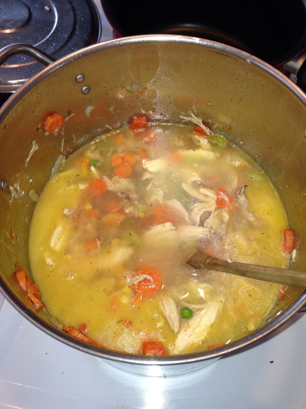 Add in the remaining stock and supplement with water if needed. You will see the butter and fat come to the top. You can skim it off if you want.