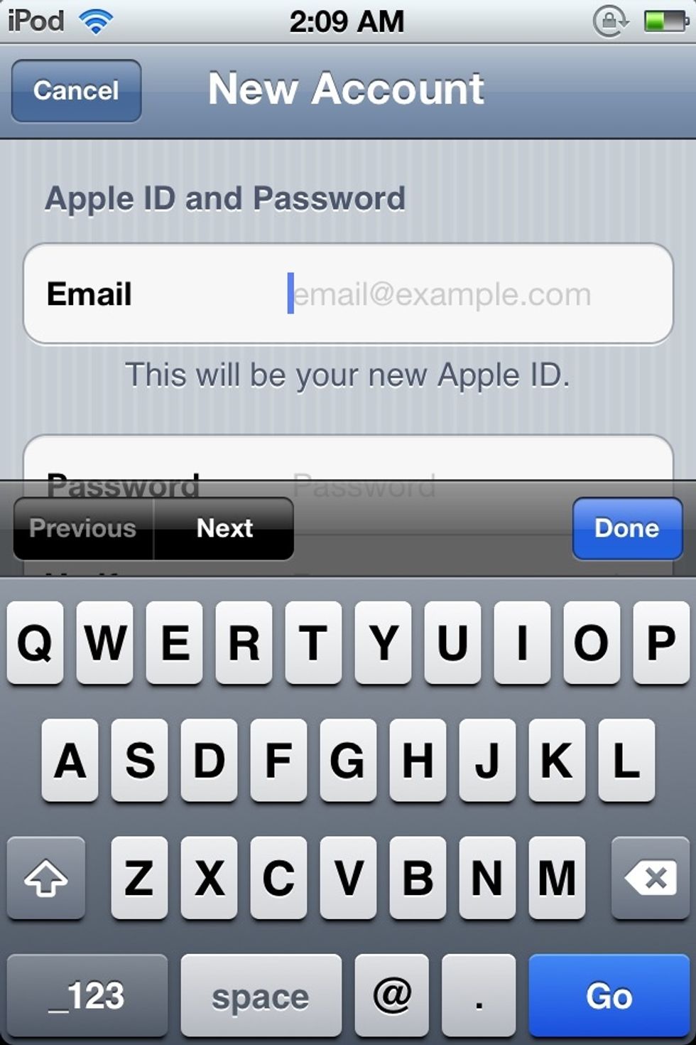 Add in your email information.