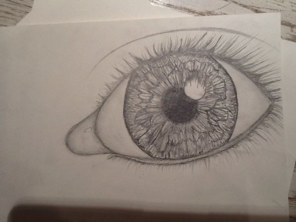 Add in your lashes! Most lashes curve, so make sure they're rounded and not just straight lines. Lashes will also get smaller as you near the inner corner of the eye.