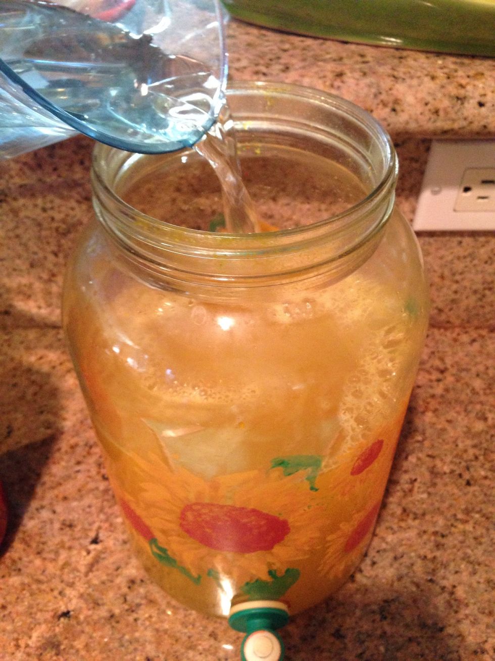 Add juice to a large pitcher & fill the rest with purified water. You have now made your concentrated chia base. You can pull from this to make your chia fresca or simply warm up for a hot beverage.