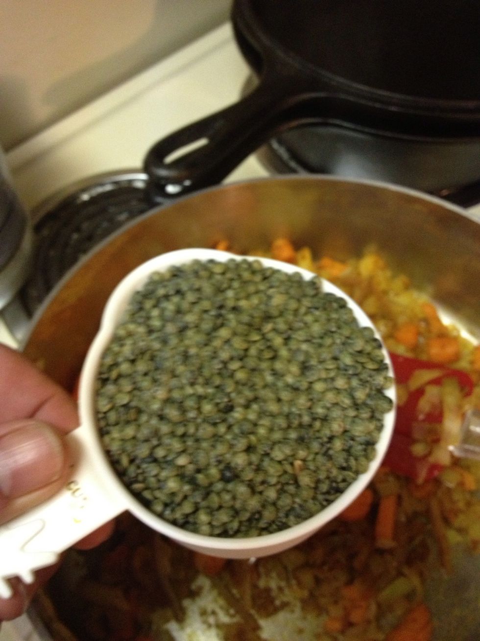 Add lentils and water