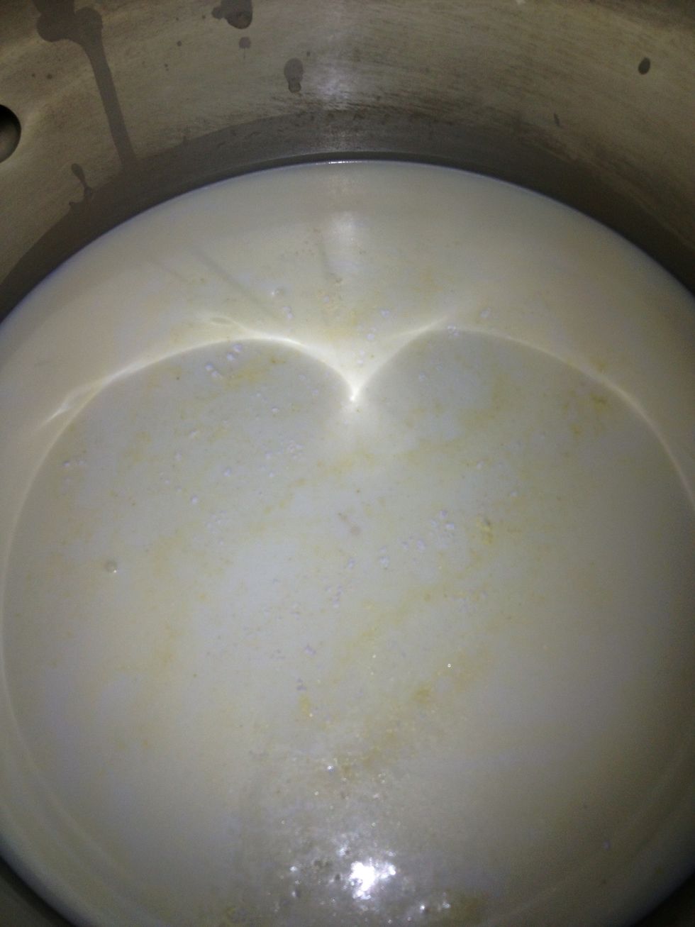 Add lipase and MM100 stir for 20 seconds then stop movement of milk. Cover and wait an hour, keep at 90F.