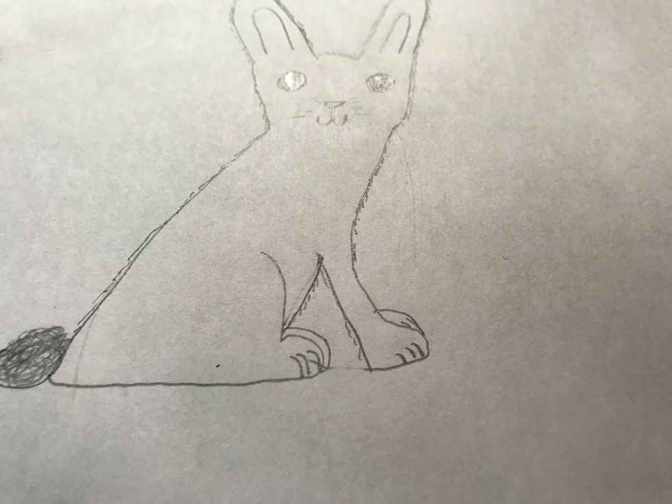 Add little lines of fur around the outline