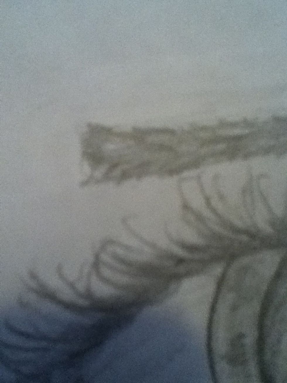Add little strokes so it looks more realistic. Do this throughout the whole eyebrow