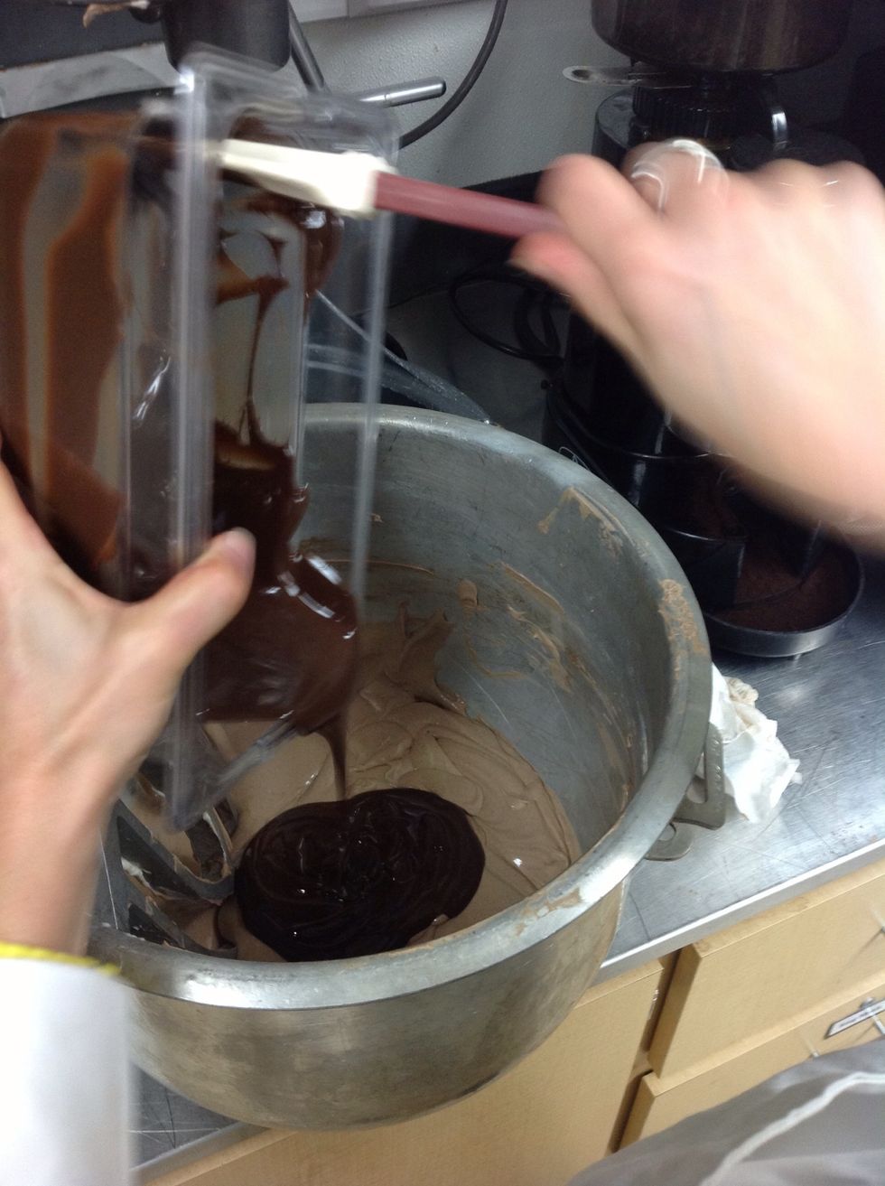 Add melted chocolate to cream cheese mixture.