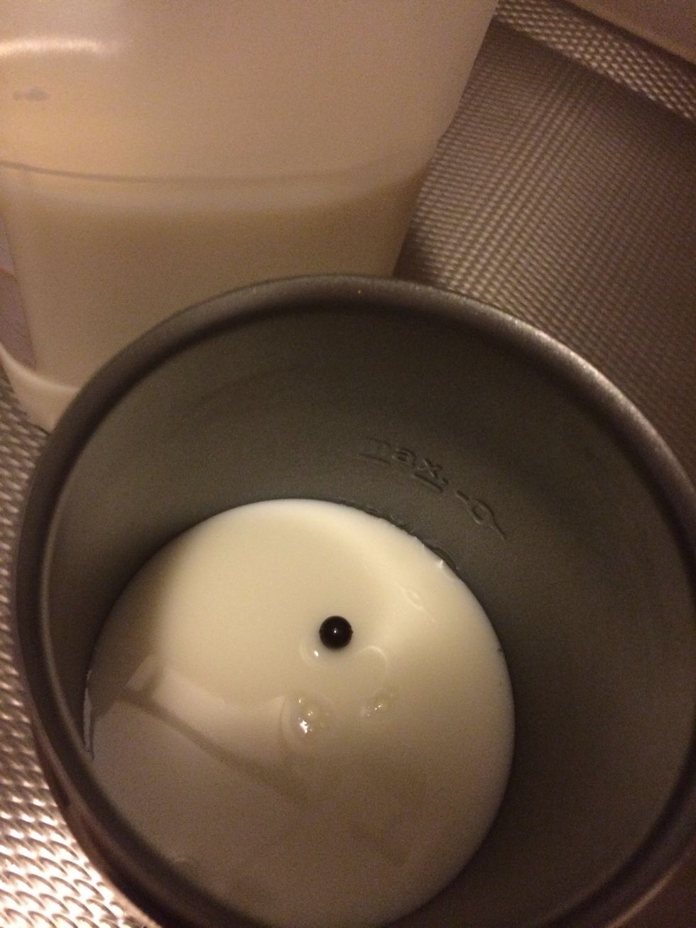 Add milk until until the first (lower) mark.