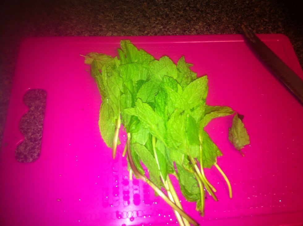 Add mint into food processor with onion.
