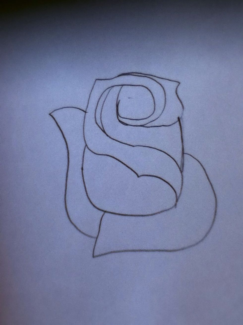 Add much bigger petals. You'll start to get that blooming effect that makes the rose look pretty and full.