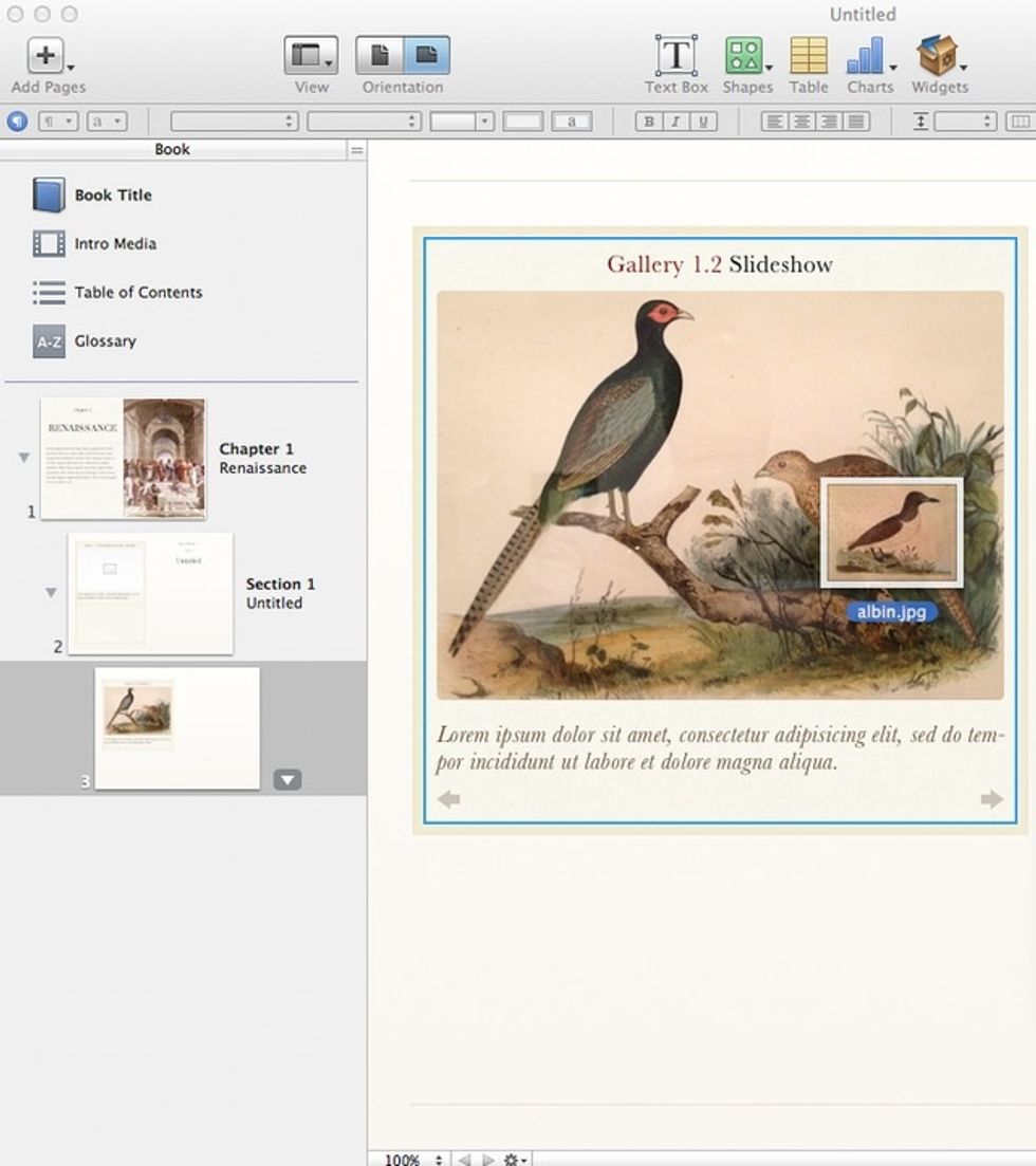 Add multiple images to a single placeholder to swipe between photos for an interactive slideshow.