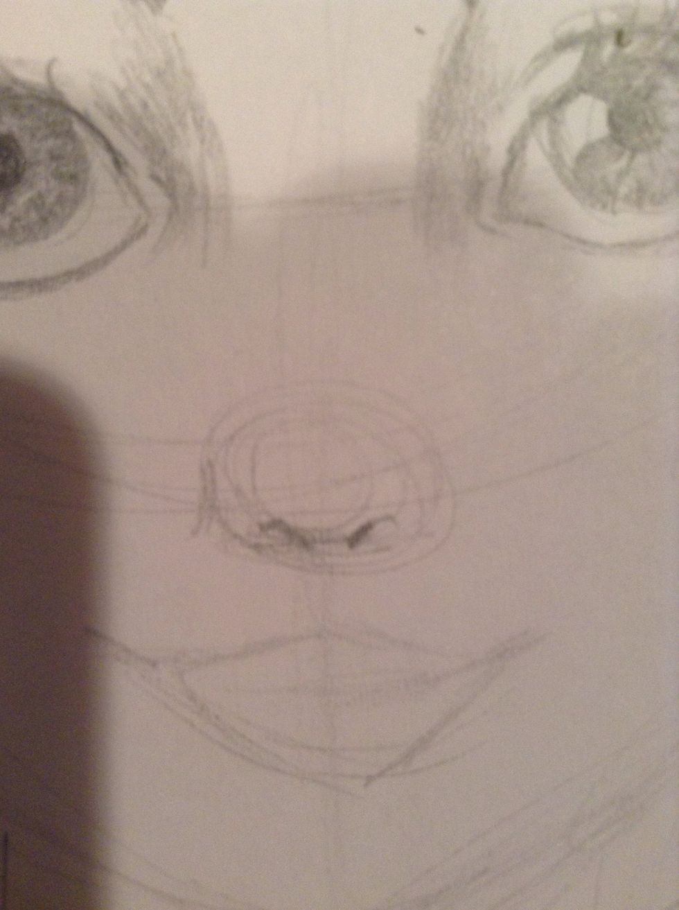 Add nostrils. Tip: DO NOT make these dark or big. They are barely even half circles, and are there to HINT at nostrils.
