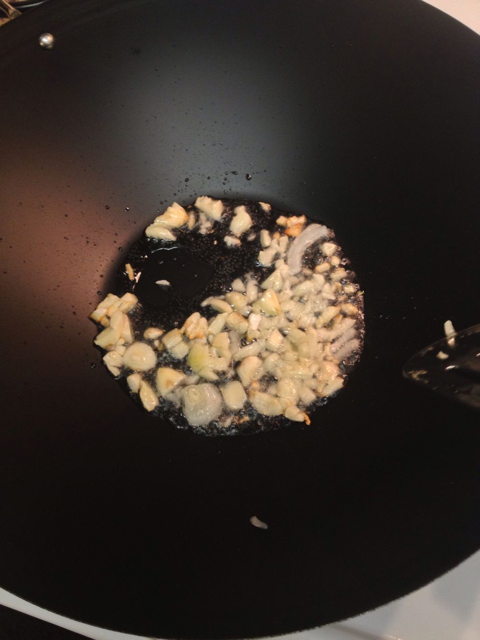 Add oil to your pan. Then add garlic when oil is hot. Wait til it turns brown.